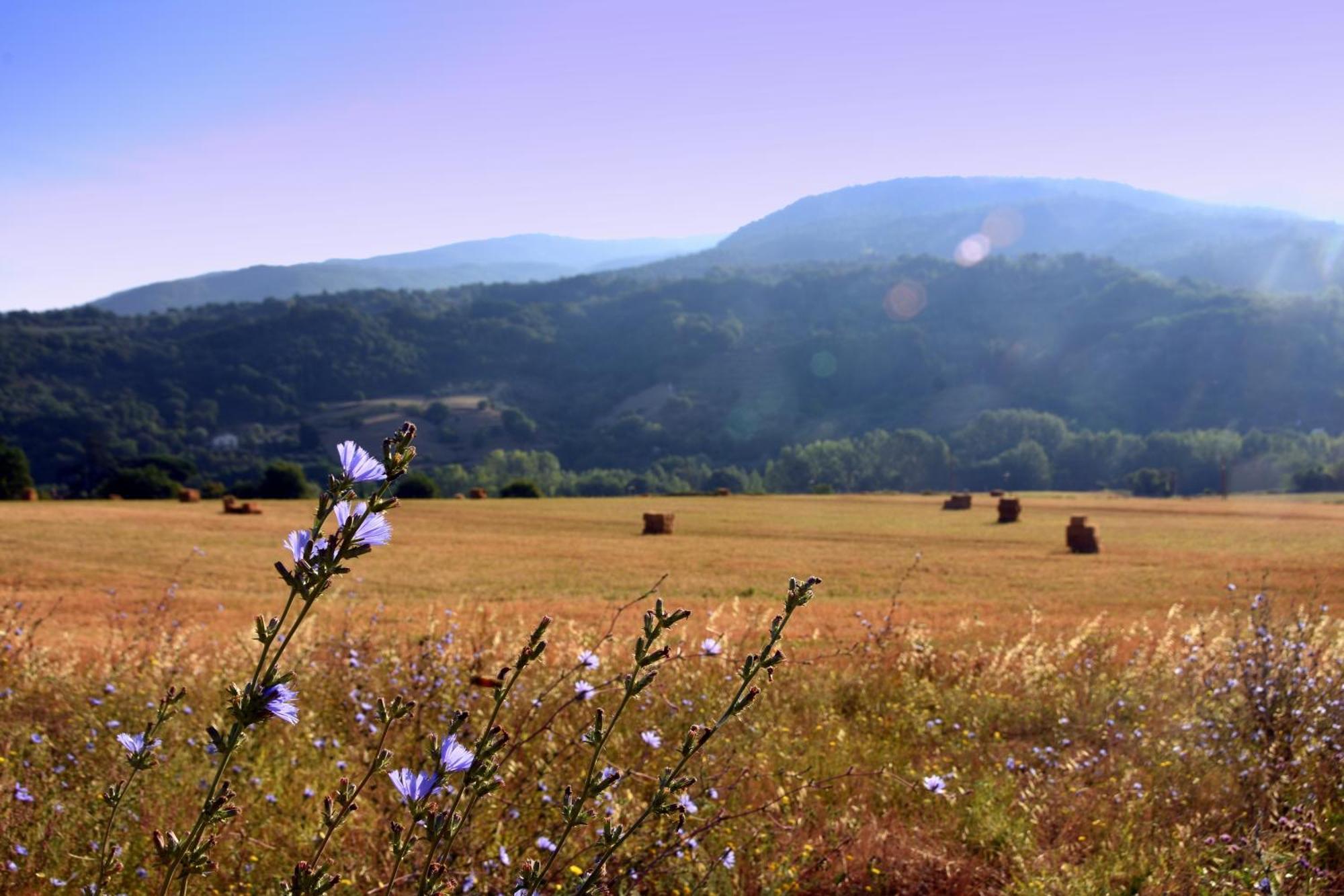 Baciano Azienda Agrituristico Venatoria 卡波罗纳 外观 照片