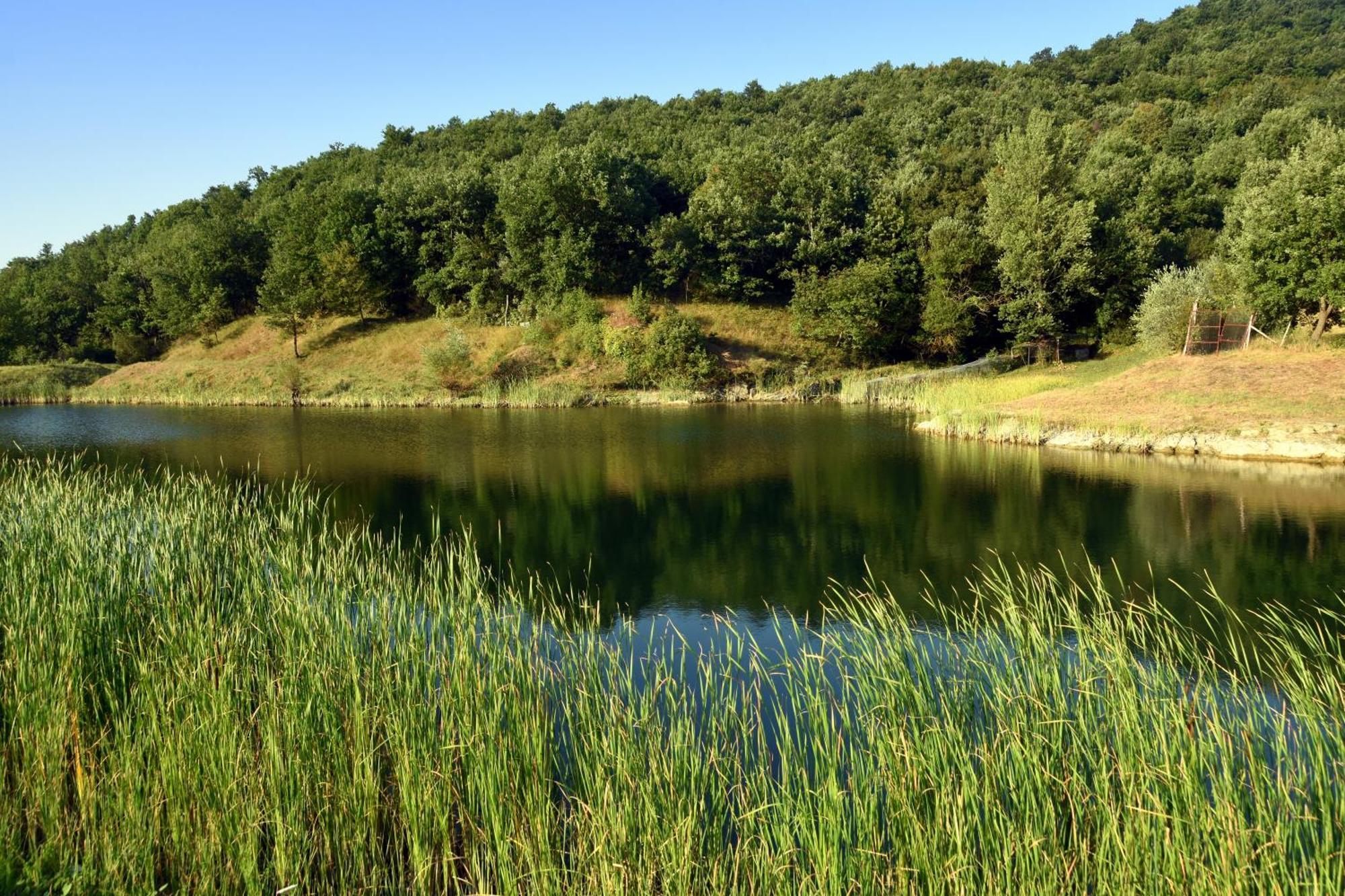 Baciano Azienda Agrituristico Venatoria 卡波罗纳 外观 照片