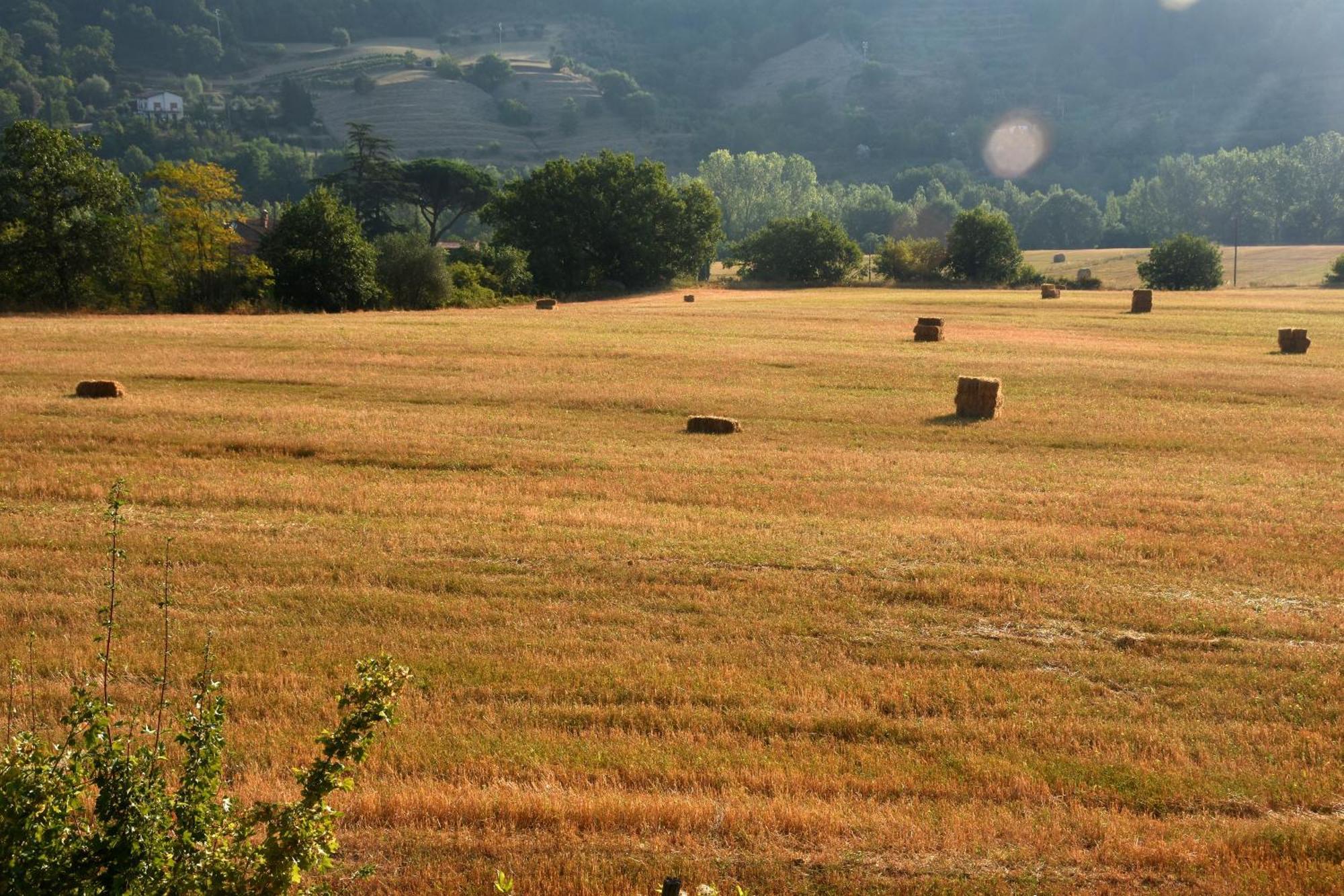 Baciano Azienda Agrituristico Venatoria 卡波罗纳 外观 照片